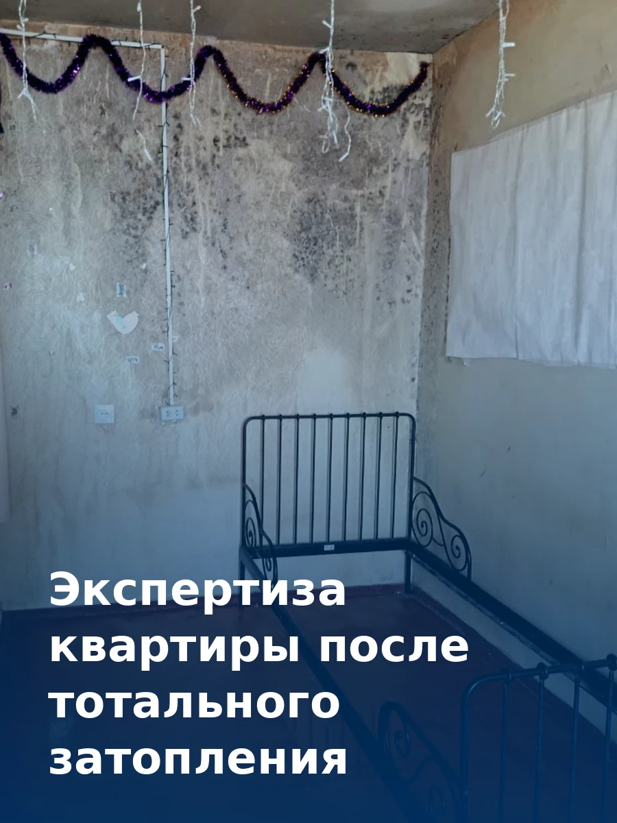 Экспертиза квартиры после тотального затопления